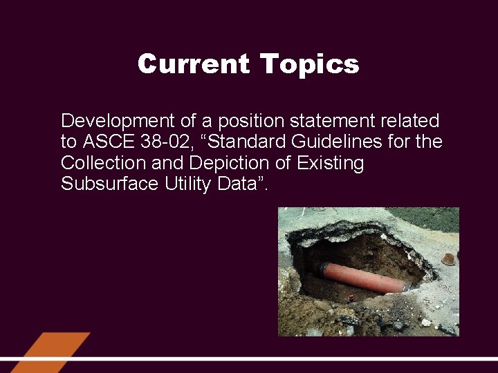 Current Topics Development of a position statement related to ASCE 38 -02, “Standard Guidelines