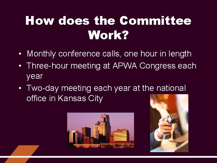 How does the Committee Work? • Monthly conference calls, one hour in length •
