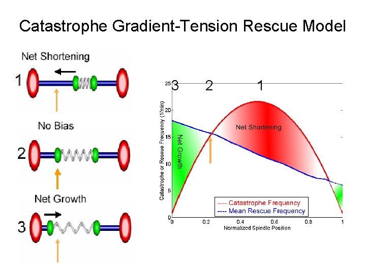 Catastrophe Gradient-Tension Rescue Model 3 2 1 