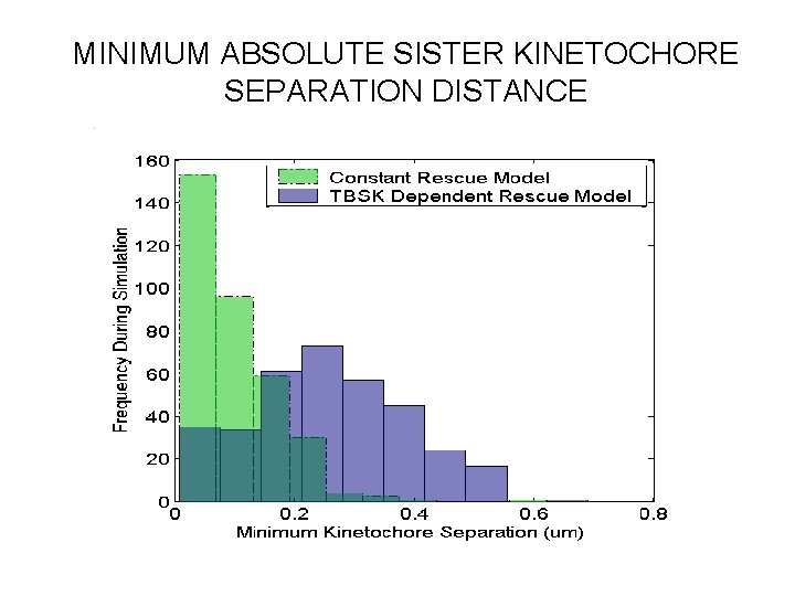 MINIMUM ABSOLUTE SISTER KINETOCHORE SEPARATION DISTANCE 