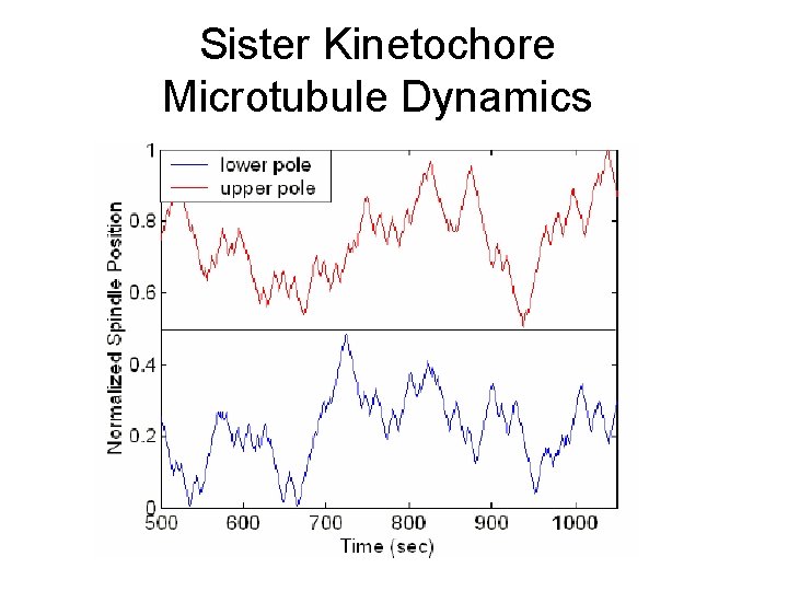 Sister Kinetochore Microtubule Dynamics 