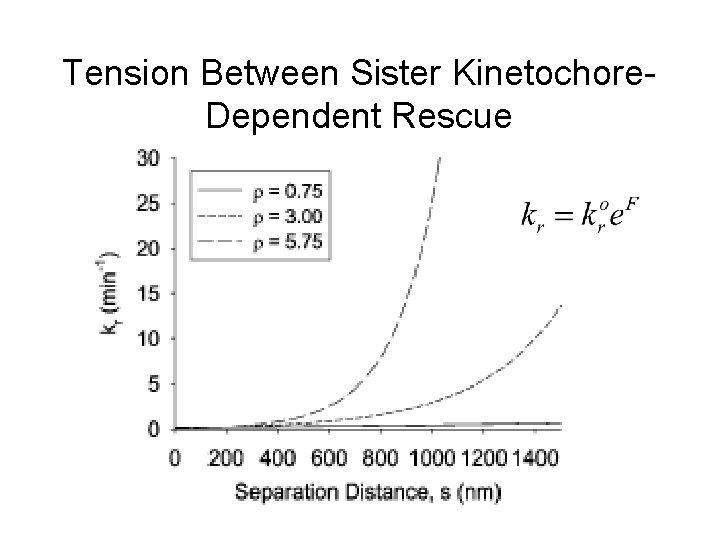 Tension Between Sister Kinetochore. Dependent Rescue 