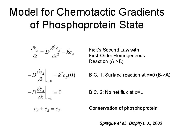 Model for Chemotactic Gradients of Phosphoprotein State Fick’s Second Law with First-Order Homogeneous Reaction