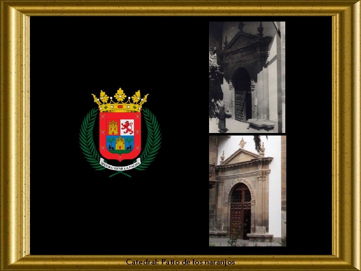 Catedral: Patio de los naranjos 