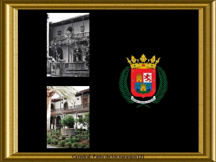 Catedral: Patio de los naranjos (2) 