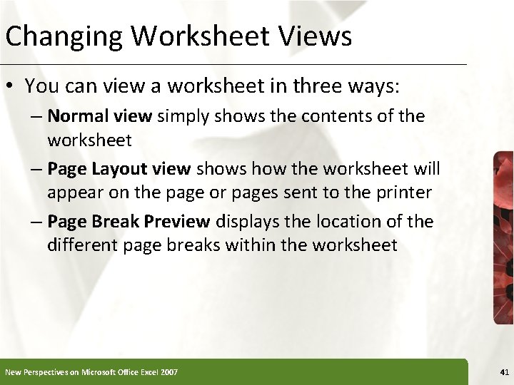 Changing Worksheet Views • You can view a worksheet in three ways: – Normal