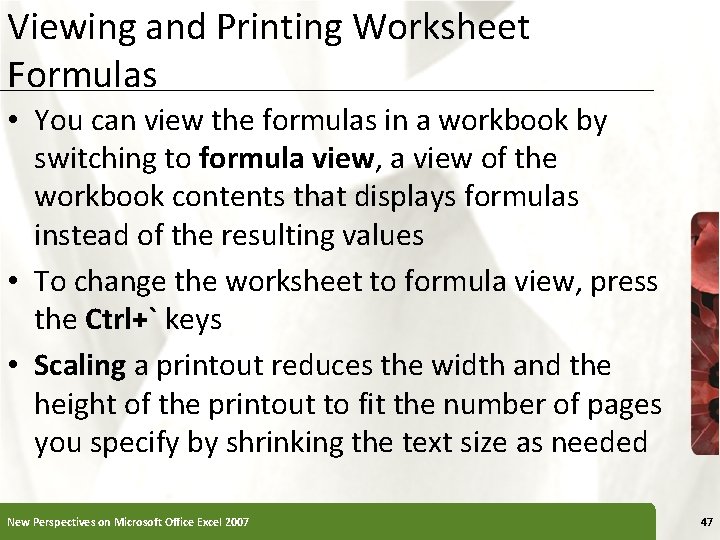 Viewing and Printing Worksheet Formulas • You can view the formulas in a workbook