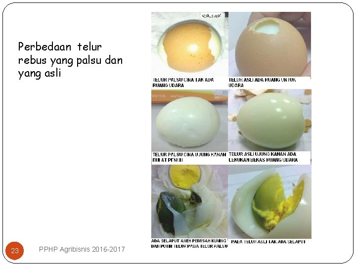 Perbedaan telur rebus yang palsu dan yang asli 23 PPHP Agribisnis 2016 -2017 