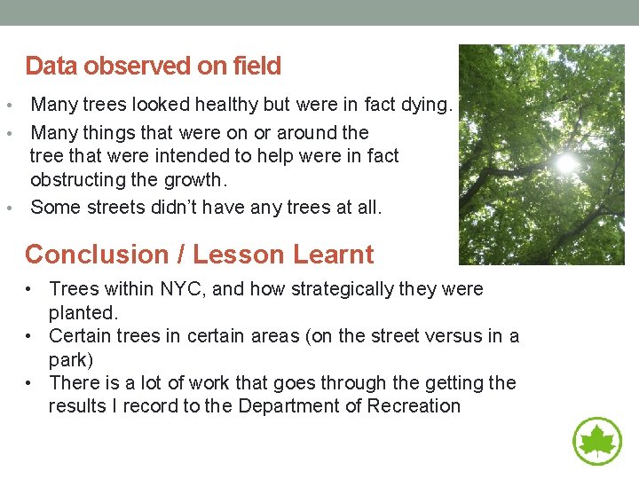 Data observed on field Many trees looked healthy but were in fact dying. •