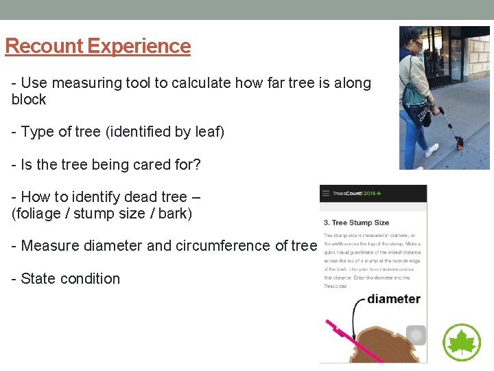Recount Experience - Use measuring tool to calculate how far tree is along block