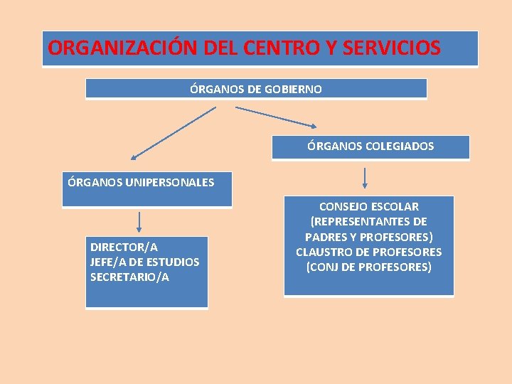 ORGANIZACIÓN DEL CENTRO Y SERVICIOS ÓRGANOS DE GOBIERNO ÓRGANOS COLEGIADOS ÓRGANOS UNIPERSONALES DIRECTOR/A JEFE/A