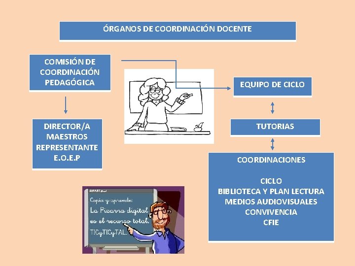 ÓRGANOS DE COORDINACIÓN DOCENTE COMISIÓN DE COORDINACIÓN PEDAGÓGICA DIRECTOR/A MAESTROS REPRESENTANTE E. O. E.