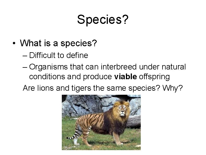 Species? • What is a species? – Difficult to define – Organisms that can