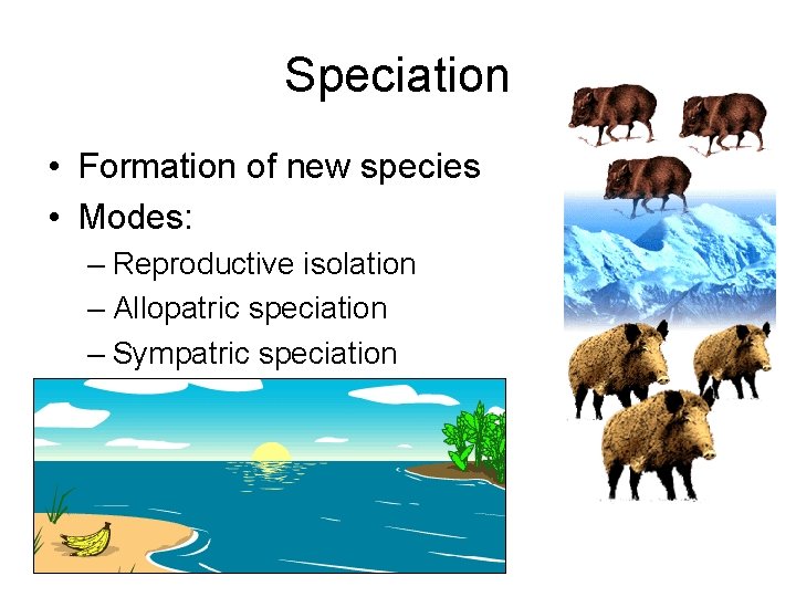 Speciation • Formation of new species • Modes: – Reproductive isolation – Allopatric speciation