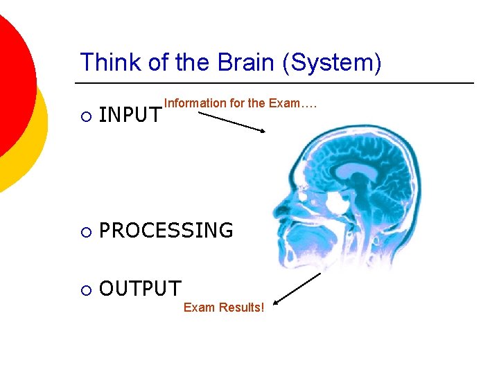 Think of the Brain (System) Information for the Exam…. ¡ INPUT ¡ PROCESSING ¡