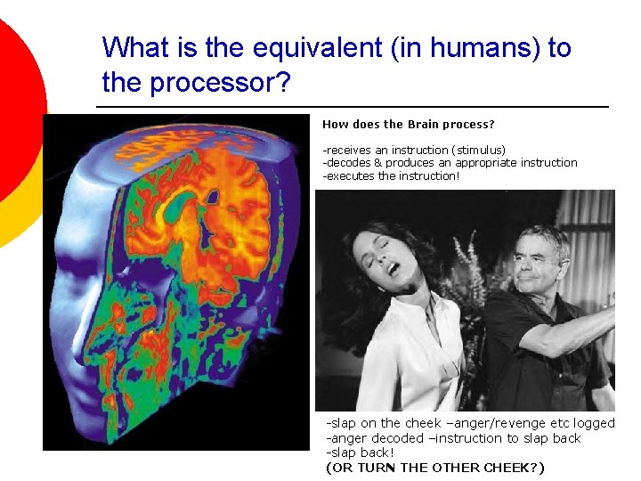 What is the equivalent (in humans) to the processor? How does the Brain process?