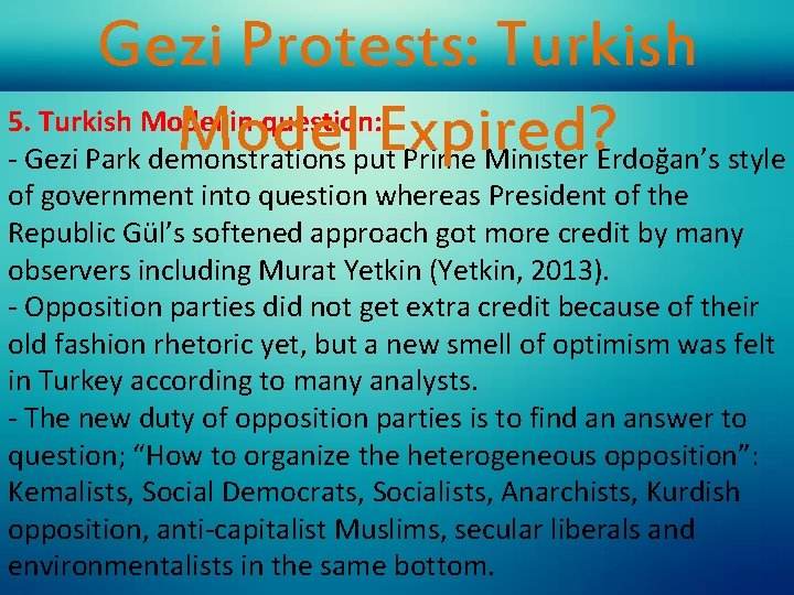 Gezi Protests: Turkish 5. Turkish Model in question: Model Expired? - Gezi Park demonstrations