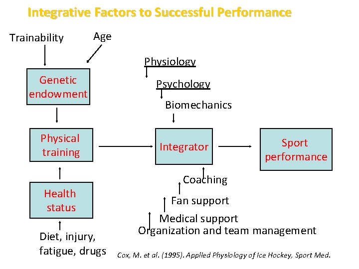 Integrative Factors to Successful Performance Trainability Age Physiology Genetic endowment Psychology Physical training Integrator