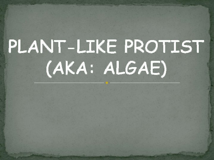 PLANT-LIKE PROTIST (AKA: ALGAE) 