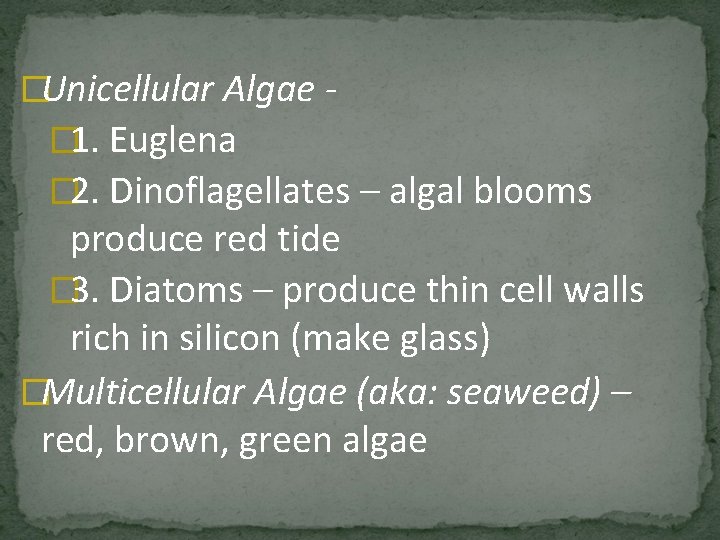 �Unicellular Algae � 1. Euglena � 2. Dinoflagellates – algal blooms produce red tide