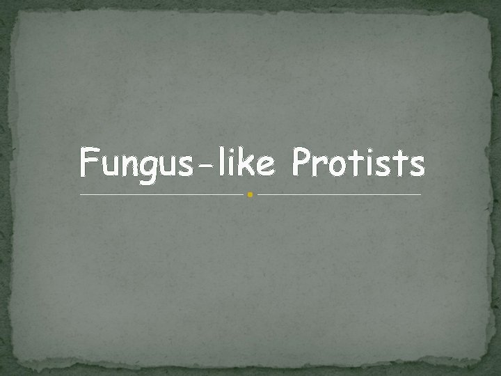 Fungus-like Protists 