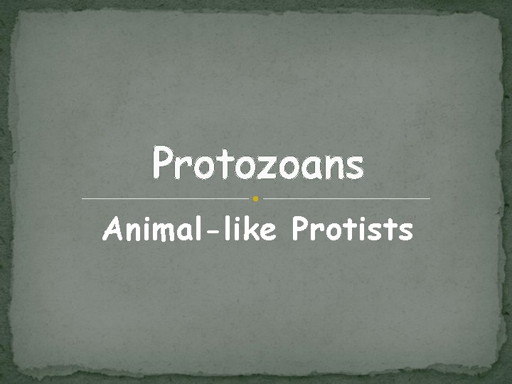 Protozoans Animal-like Protists 