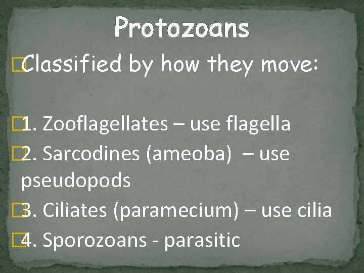 Protozoans �Classified by how they move: � 1. Zooflagellates – use flagella � 2.