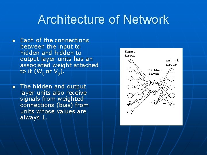 Architecture of Network n n Each of the connections between the input to hidden