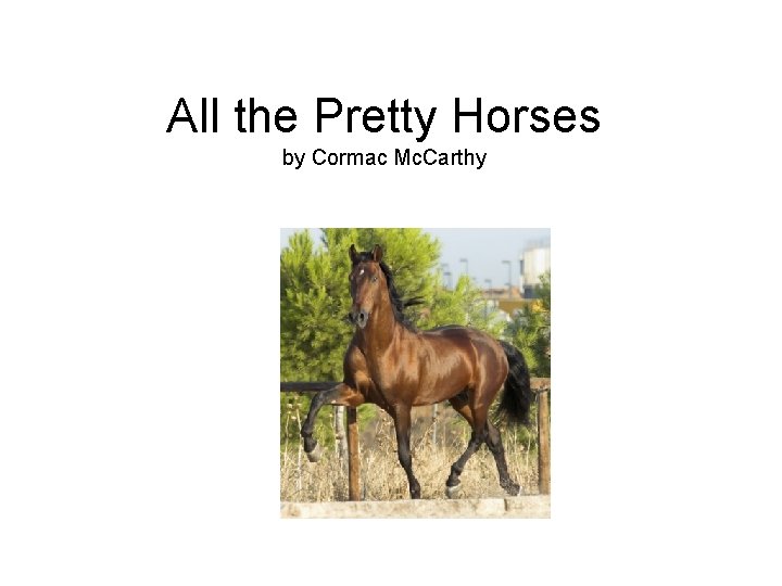 All the Pretty Horses by Cormac Mc. Carthy 