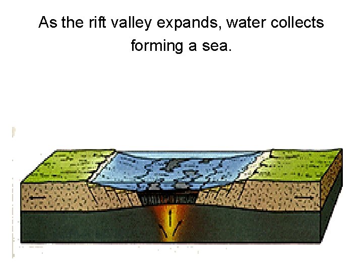 As the rift valley expands, water collects forming a sea. 