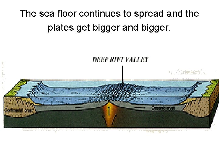 The sea floor continues to spread and the plates get bigger and bigger. 