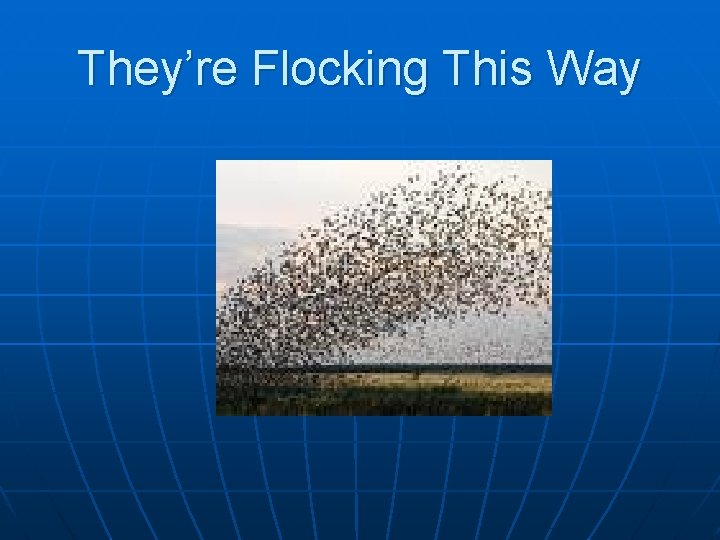They’re Flocking This Way 