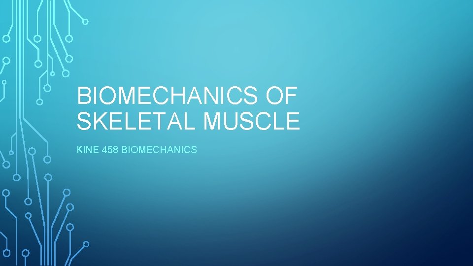 BIOMECHANICS OF SKELETAL MUSCLE KINE 458 BIOMECHANICS 