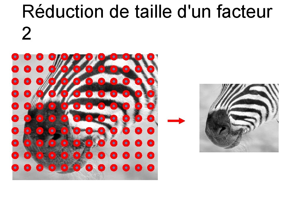 Réduction de taille d'un facteur 2 