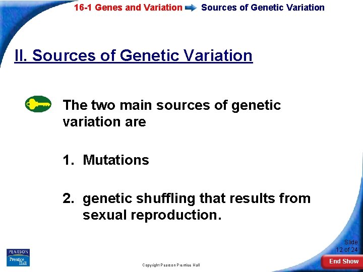 16 -1 Genes and Variation Sources of Genetic Variation II. Sources of Genetic Variation