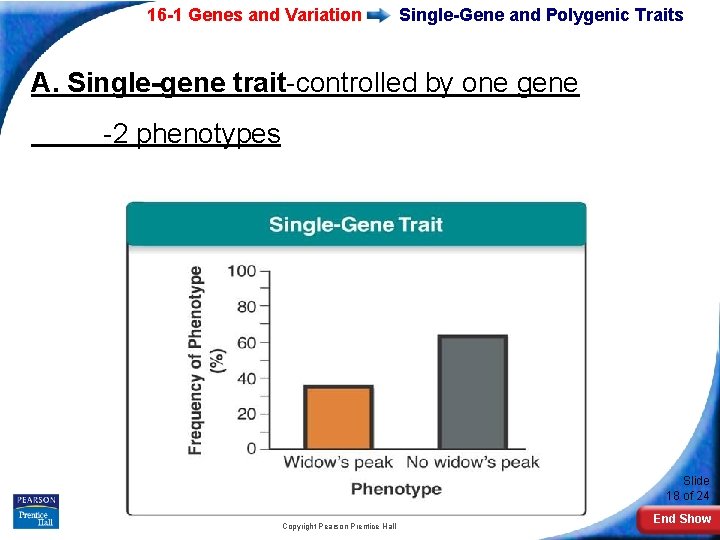 16 -1 Genes and Variation Single-Gene and Polygenic Traits A. Single-gene trait-controlled by one
