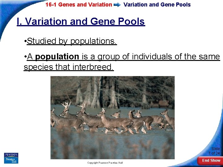 16 -1 Genes and Variation and Gene Pools I. Variation and Gene Pools •