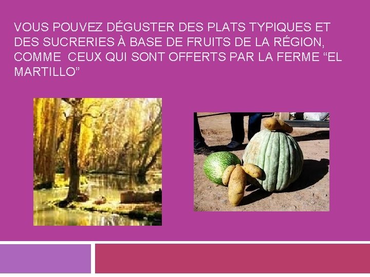 VOUS POUVEZ DÉGUSTER DES PLATS TYPIQUES ET DES SUCRERIES À BASE DE FRUITS DE