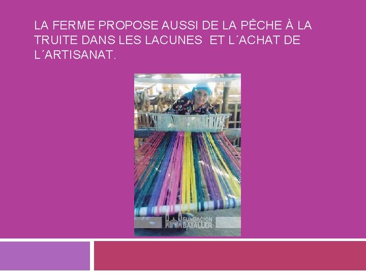 LA FERME PROPOSE AUSSI DE LA PÊCHE À LA TRUITE DANS LES LACUNES ET
