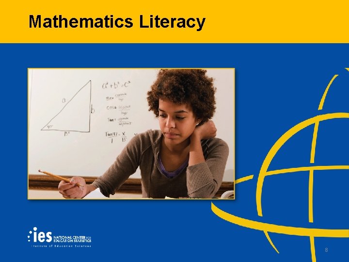 Mathematics Literacy 8 