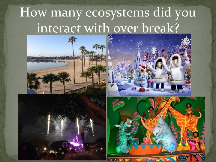 How many ecosystems did you interact with over break? 