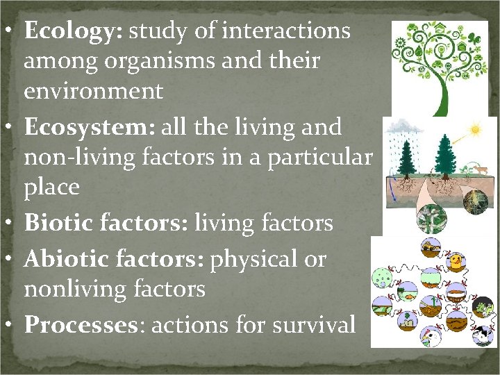  • Ecology: study of interactions among organisms and their environment • Ecosystem: all