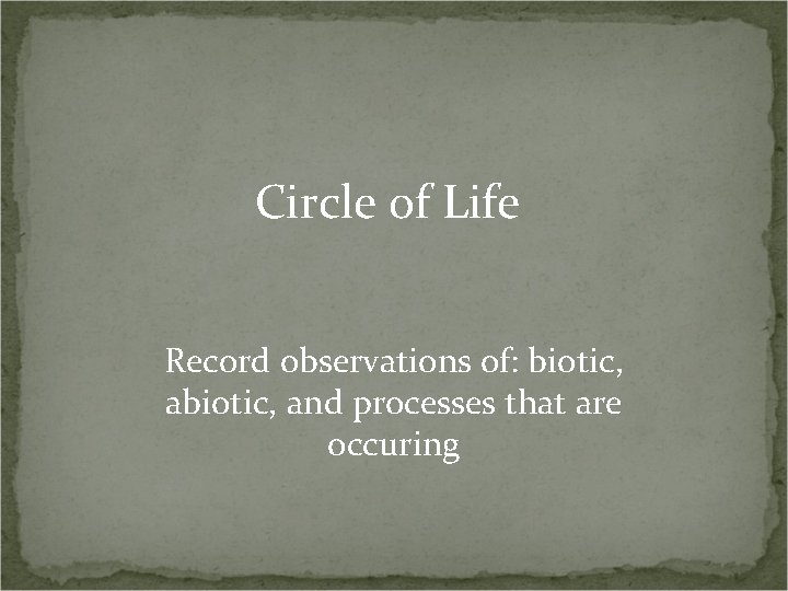 Circle of Life Record observations of: biotic, and processes that are occuring 