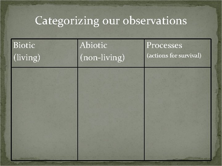 Categorizing our observations Biotic (living) Abiotic (non-living) Processes (actions for survival) 