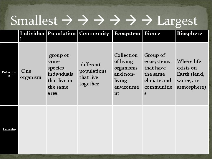 Smallest Largest Individua Population Community Ecosystem Biome l Definition s Examples One organism group