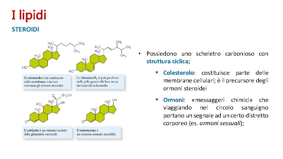 STEROIDI • Possiedono uno scheletro carbonioso con struttura ciclica; § Colesterolo: costituisce parte delle