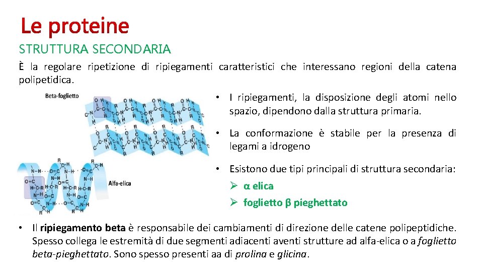STRUTTURA SECONDARIA È la regolare ripetizione di ripiegamenti caratteristici che interessano regioni della catena