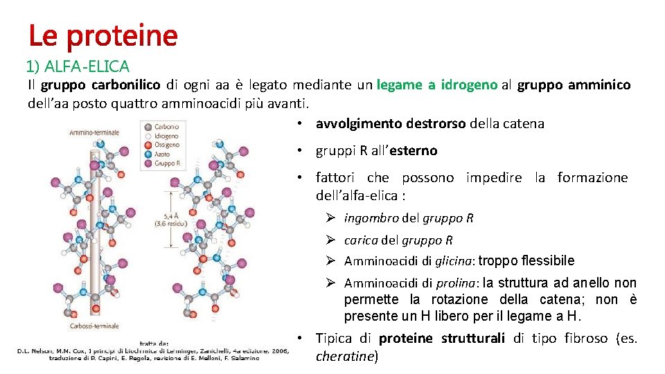 1) ALFA-ELICA Il gruppo carbonilico di ogni aa è legato mediante un legame a