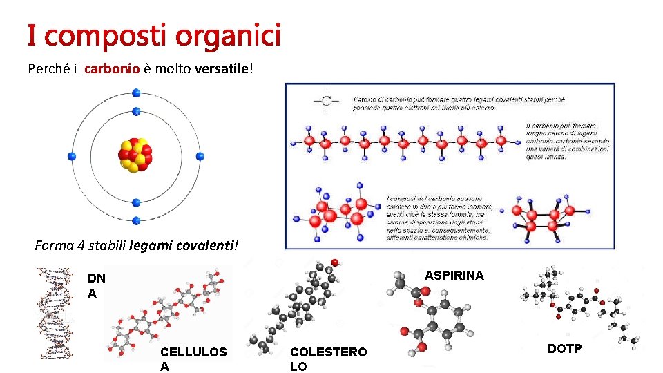 Perché il carbonio è molto versatile! Forma 4 stabili legami covalenti! ASPIRINA DN A