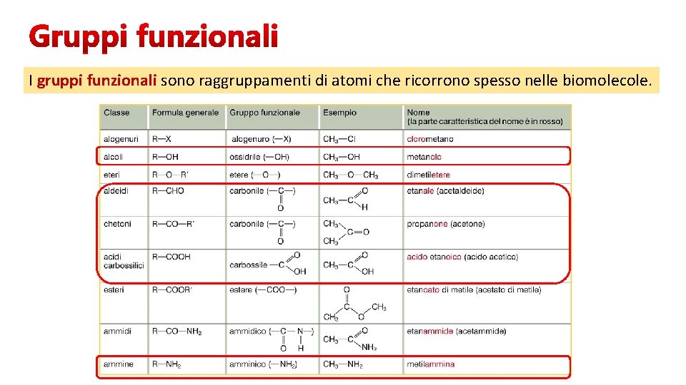 I gruppi funzionali sono raggruppamenti di atomi che ricorrono spesso nelle biomolecole. 